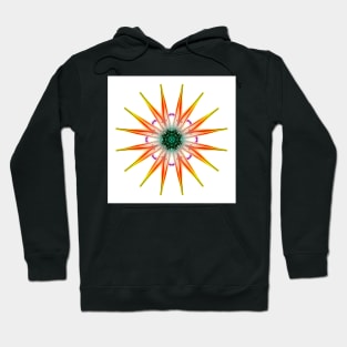 Abstract smoke trail creation Hoodie